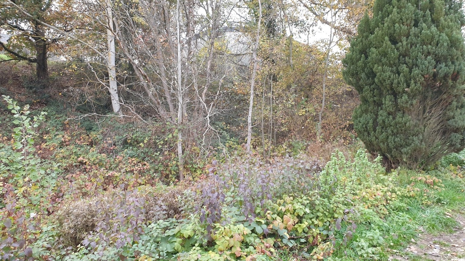 Eichbachweg20201