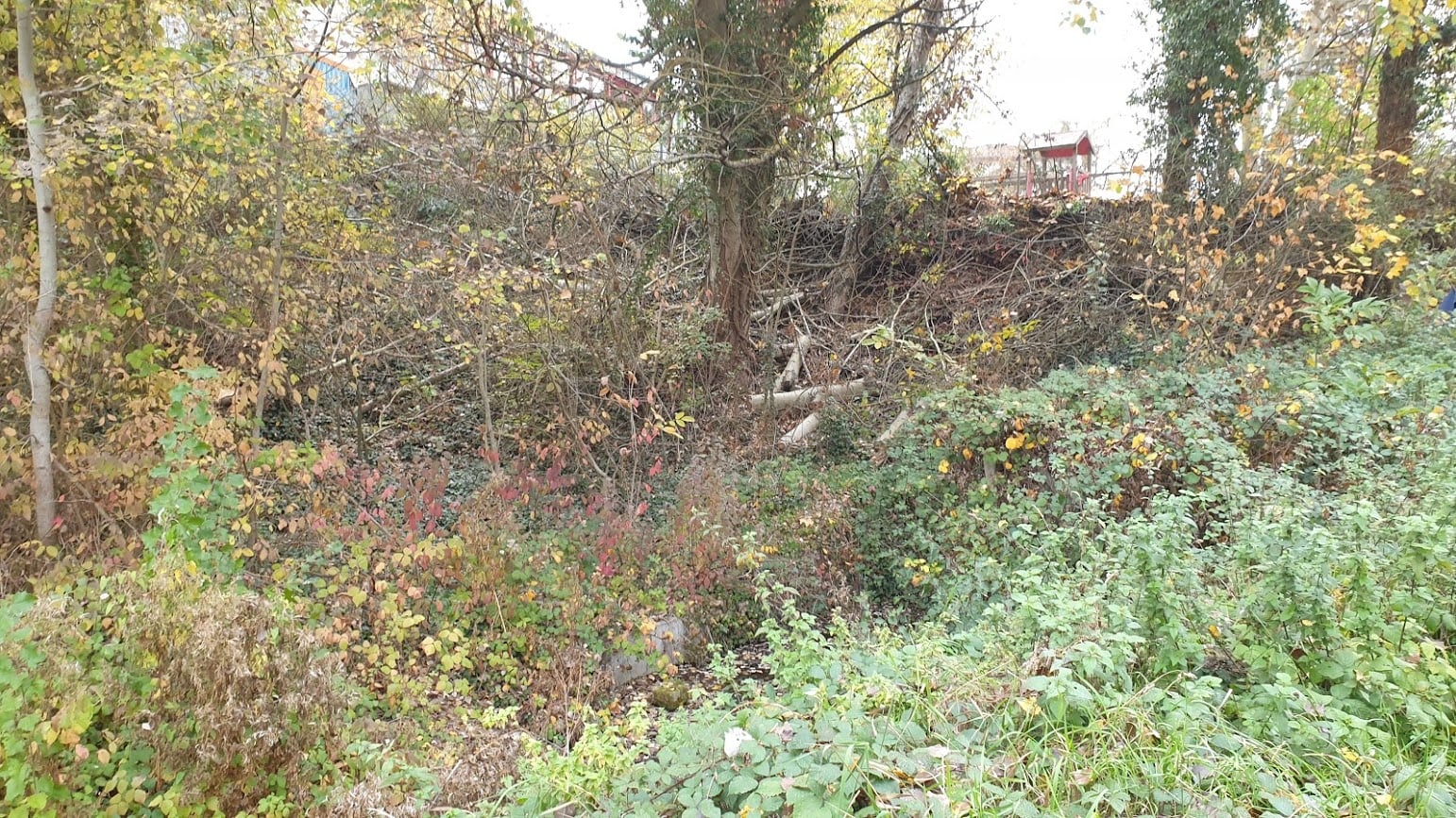 Eichbachweg20202