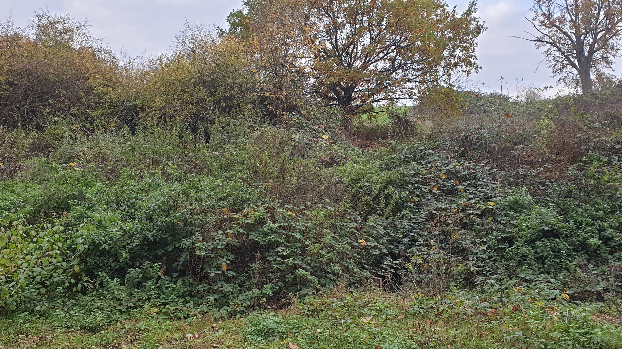 Eichbachweg20203