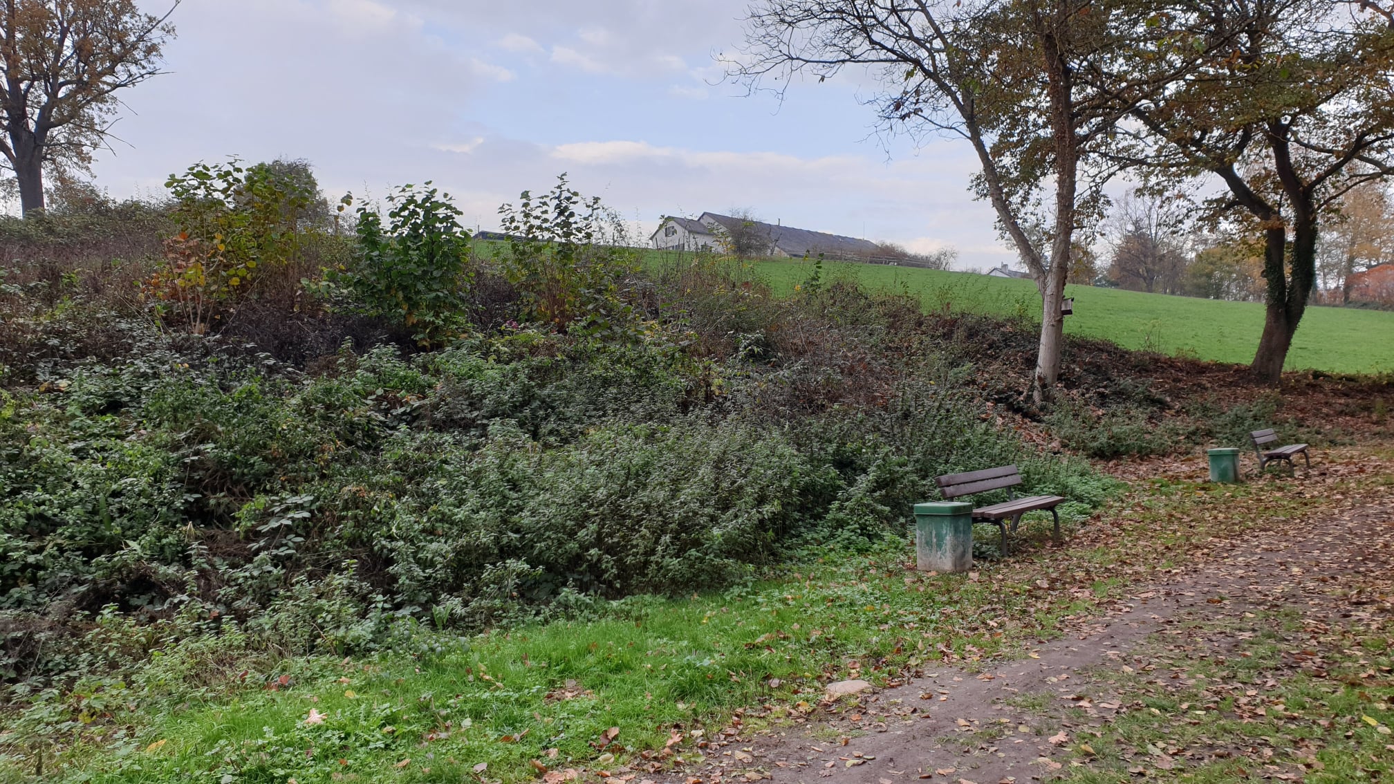 Eichbachweg20204
